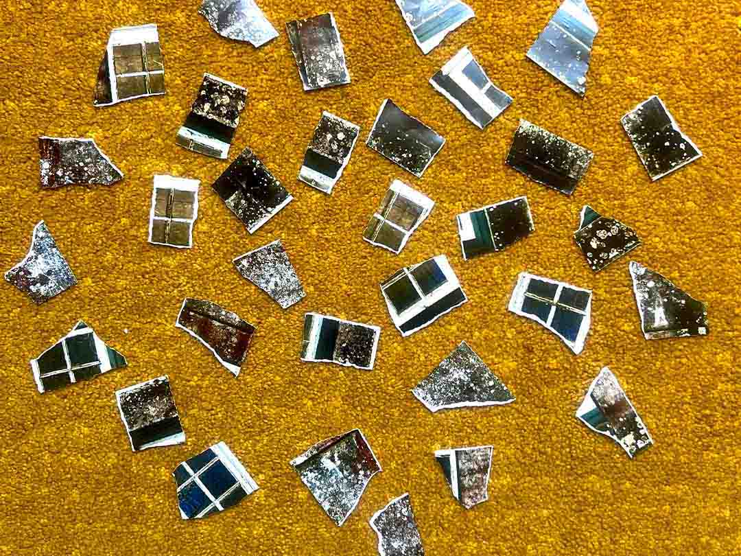 Torn fragments of photographs scattered across a gold carpet.