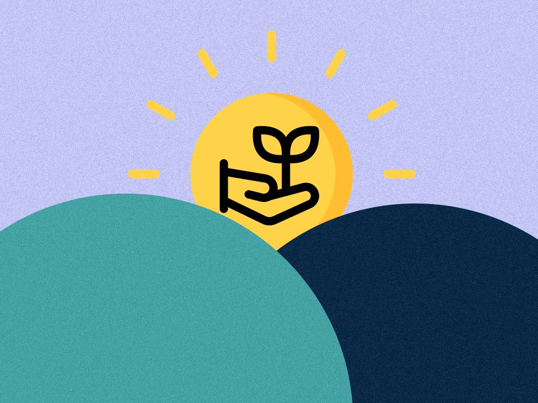 A hand holding a seedling beneath a sun.